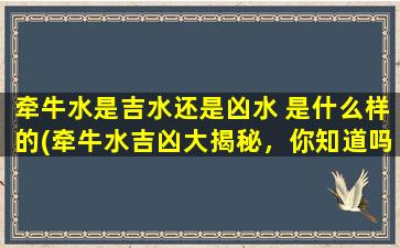 牵牛水是吉水还是凶水 是什么样的(牵牛水吉凶大揭秘，你知道吗？)